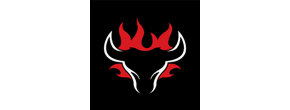 Blazing Bull Logo