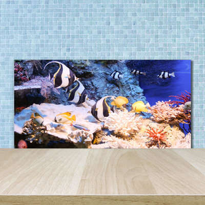 50cm W x 100cm L Glass Peel and Stick Panel