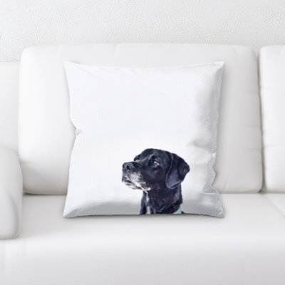 Microsuede Throw Pillow