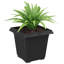  Square Flower Pot 6 Pcs Plastic-354333277-354333276