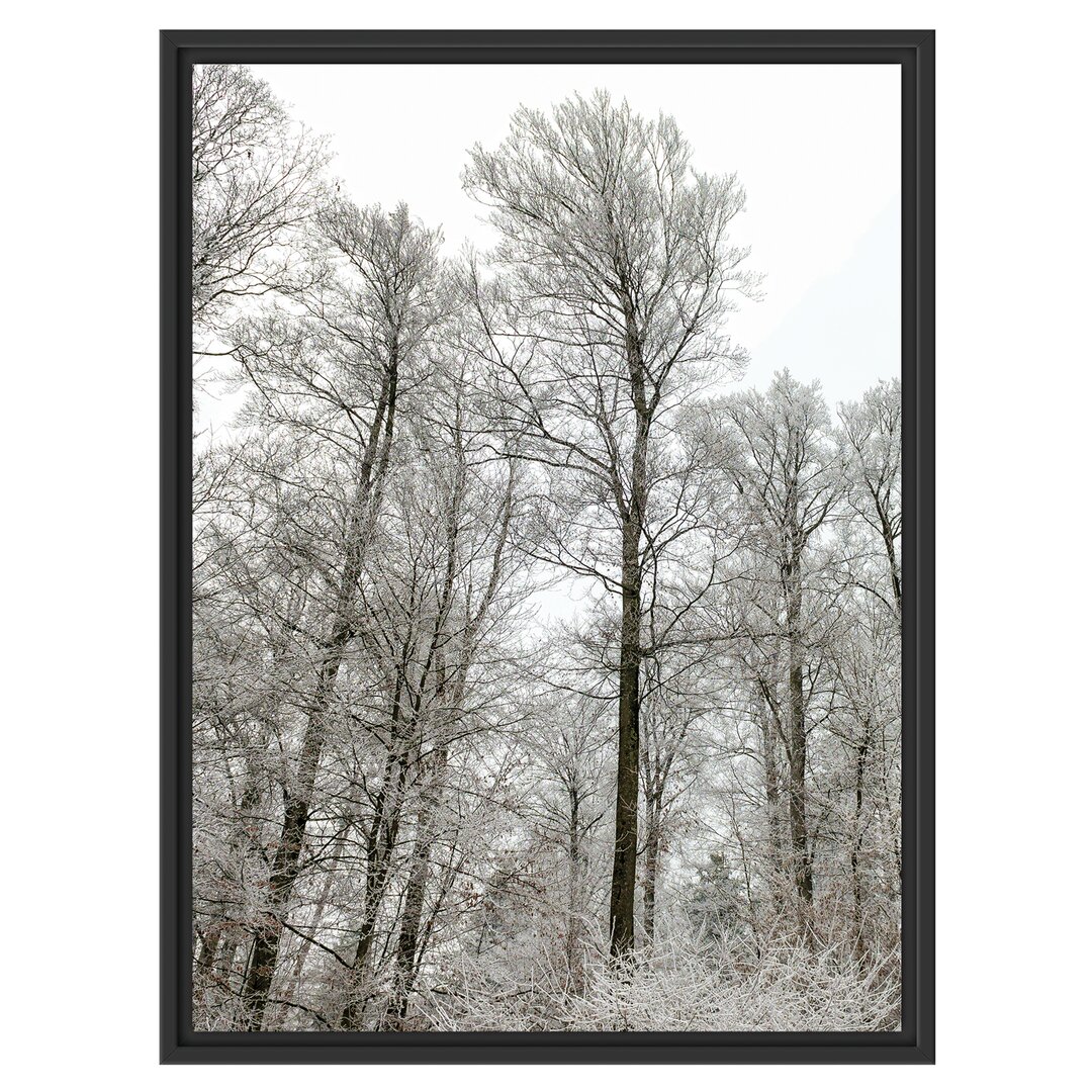 Gerahmtes Wandbild verschneiter Wald