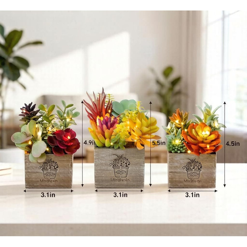 12.45cm Plant