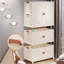 Plastic Wardrobe