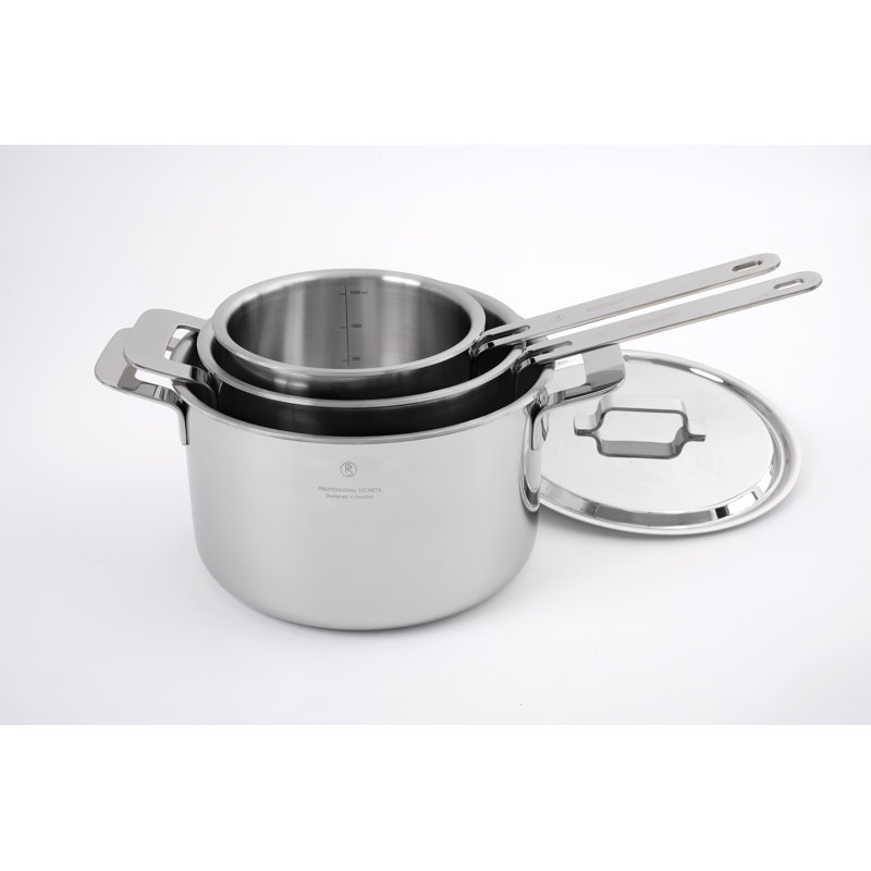 Professional Secrets Non-Stick Stainless Steel Standard Pot, 3 Litres