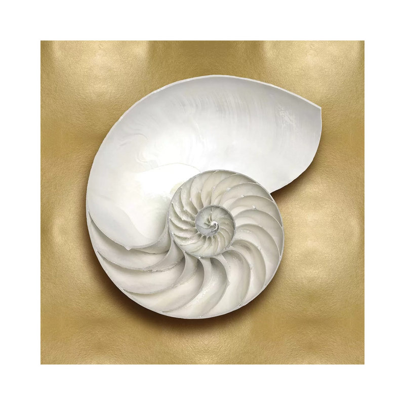 Shell On Gold II by Caroline Kelly - Wrapped Canvas Painting, 30.48 cm H x 30.48 cm W