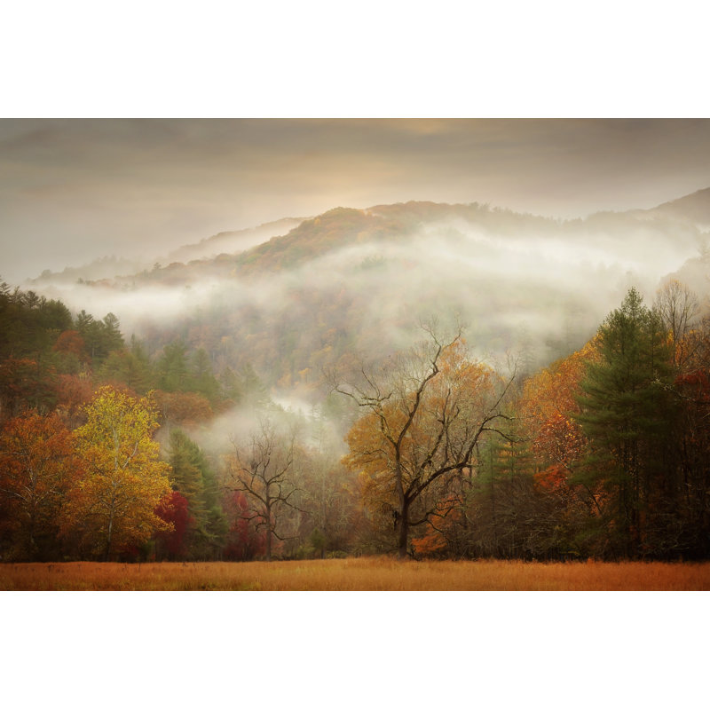 Étude de photographie brume d'automne, H 32 po x l 48 po x P 1,25 po