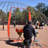 Pitcher Protection Softball and Baseball Net