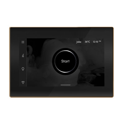 Régulateur de douche à vapeur et tête de vapeur iSteamX
