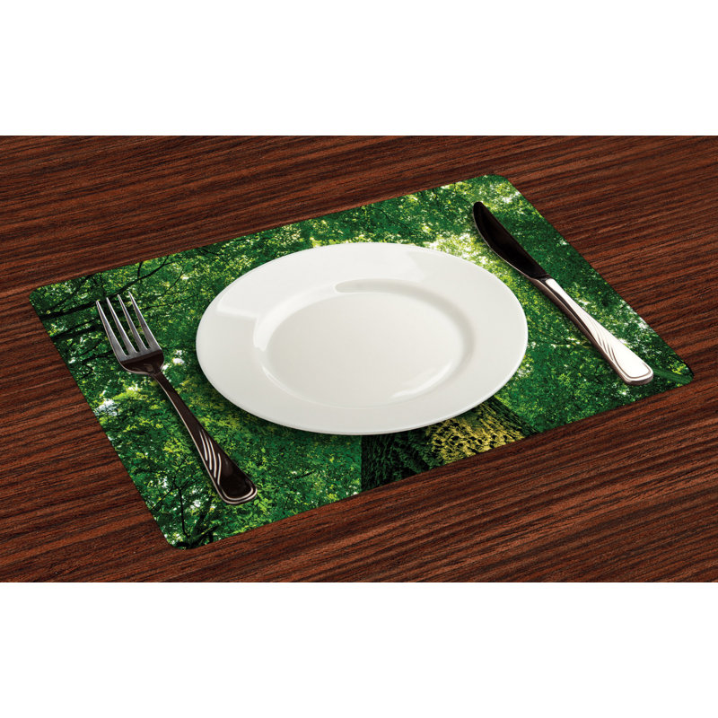 Récapitulatif 18,5" forest