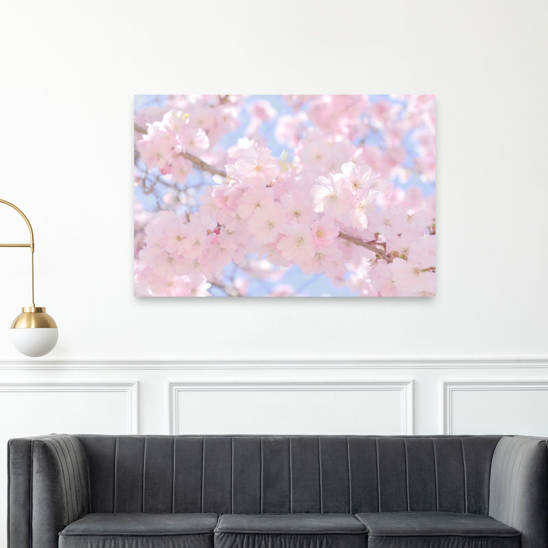 Fleurs de cerisier rose tendre délicat, art de printemps cerise éthérée délicate nature, 40" H x 60" W