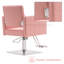 Spring Street 63.5cm W Faux Leather Hydraulic Barber Salon Chair with Metal Frame-1719139123