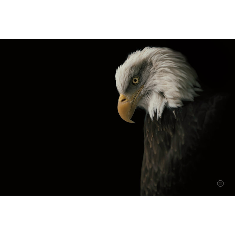 " Eagle Bow " by Nathan Larson, 8" H x 12" W, No, Wrapped Canvas