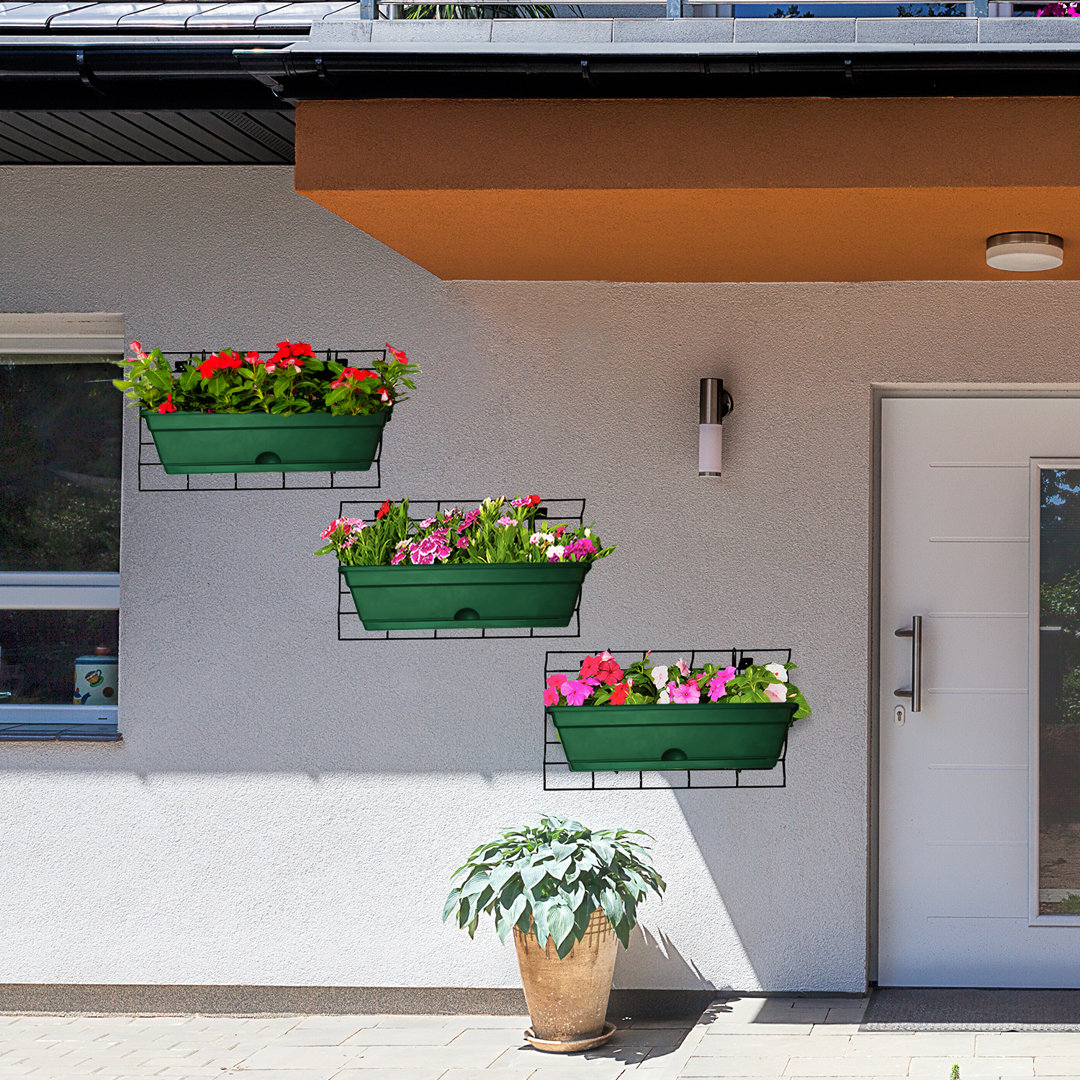 Carneisha Planter August Grove®