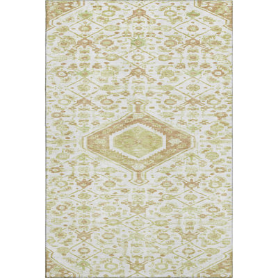 Premium Machine Washable Barry AMF1225 Medallion Rug