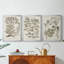 «Sepia Botanical Journal I», toile tendue sur mesure avec châssis, 3 pièces-406222198-406222202