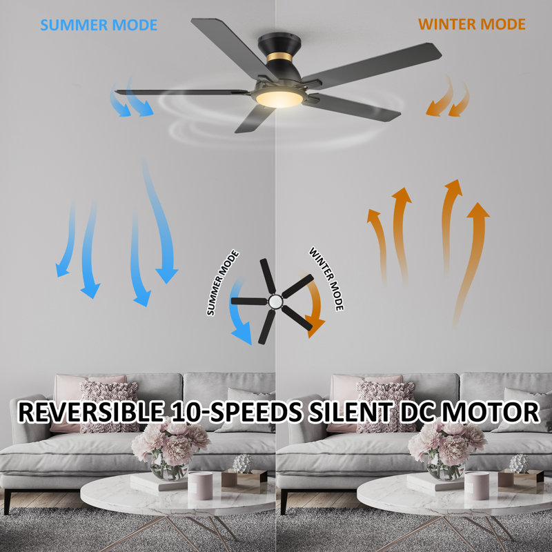 Ventilateur de plafond intelligent noir avec lumière Gaphoor, Noir