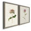 Mauve jardin fleurs V, toile encadrée de qualité supérieure - prête à être accrochée-362961469-362961464