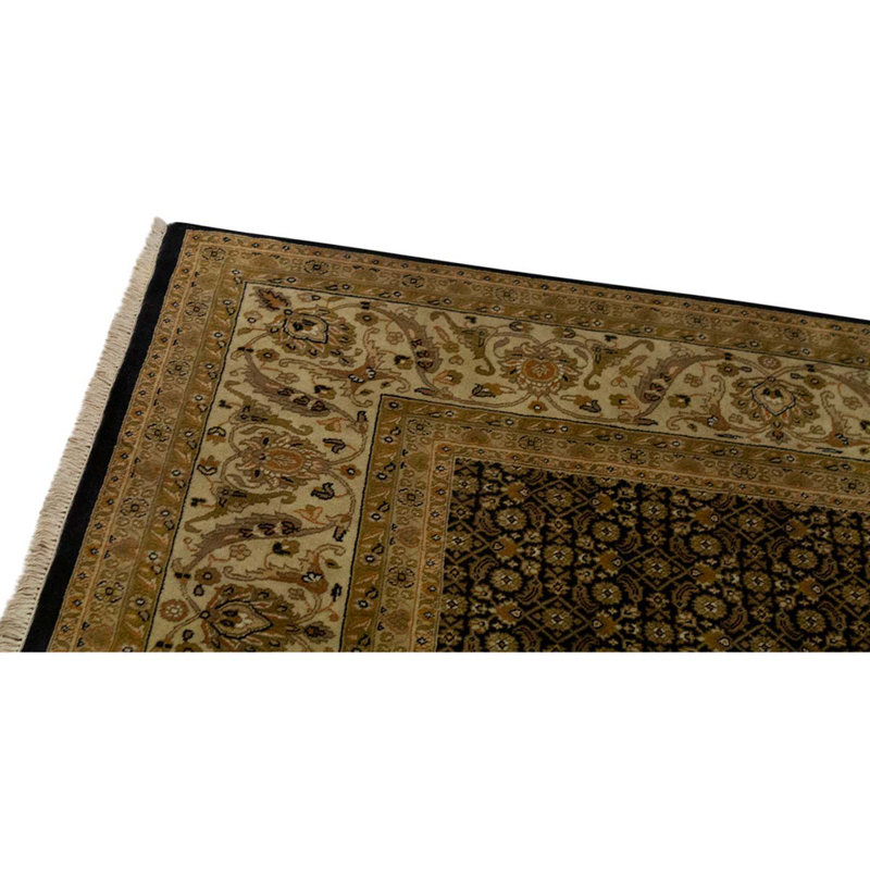 Wool Oriental Area Rug in Gold
