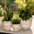 Andru Ceramic Trio Elegance Enhance Your Space With Style-1536087312