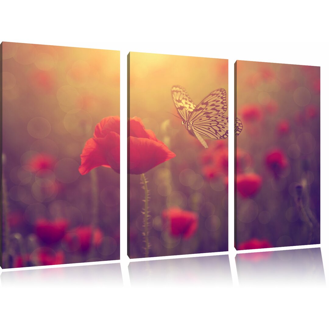 3-tlg. Leinwandbilder-Set Mohn und Schmetterling, Fotodruck