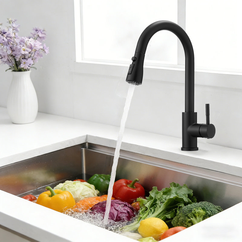 Robinets de cuisine avec douchette extractible, poignée simple, Nickel