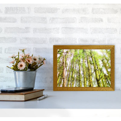 Woodland - Print on Canvas