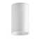 1-Light 10cm Ceiling Spotlight