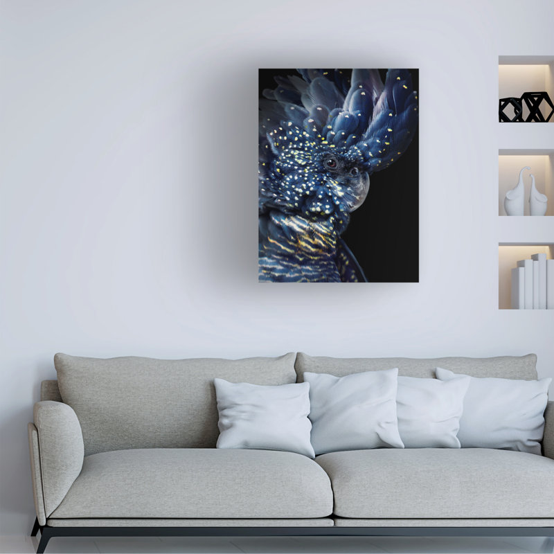 Art sur toile, bolognaise, noir, H 19 po x l 14 po