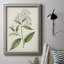 Collection Antique Botanical - reproduction d'art sur toile-116354874