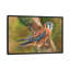 «American Kestrel», impression sur toile-33109033-72410216-72410217