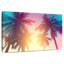 Palmier tropical Harnek-108818720