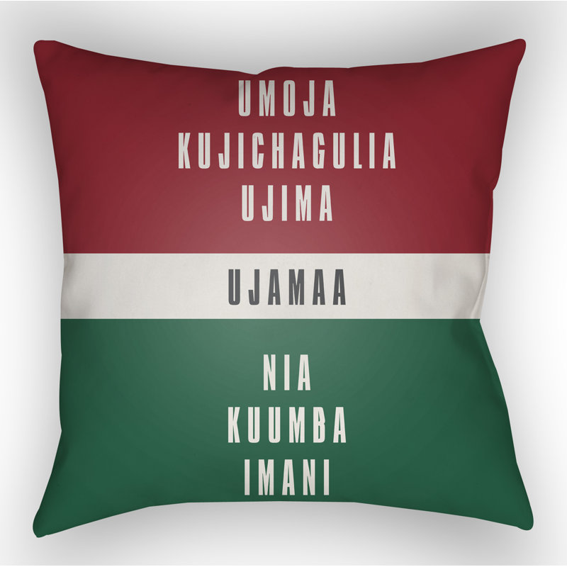 Indoor/Outdoor Throw Pillow, 20" H x 20" W x 4" D, Red/White/Green/Black