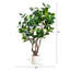 6 pi Arbre à fleurs artificiel Audrey Ficus