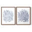 «Summer Herb Garden Sketches I», reproduction encadrée de qualité supérieure - prête à être accrochée - aucun clou requis - aucun clou requis-587786099-587786096