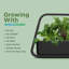 AeroGarden Sprout - noir-119070185