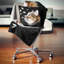 Chat avec papillons sur fond noir - coussin imprimé animal-30744401-30744398