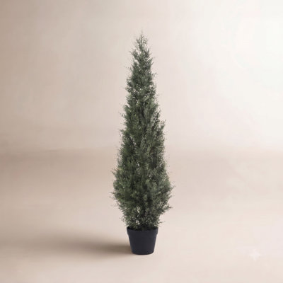 Adcock 60" Cedar Topiary in Pot