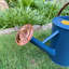 Metal Watering Can-75050060