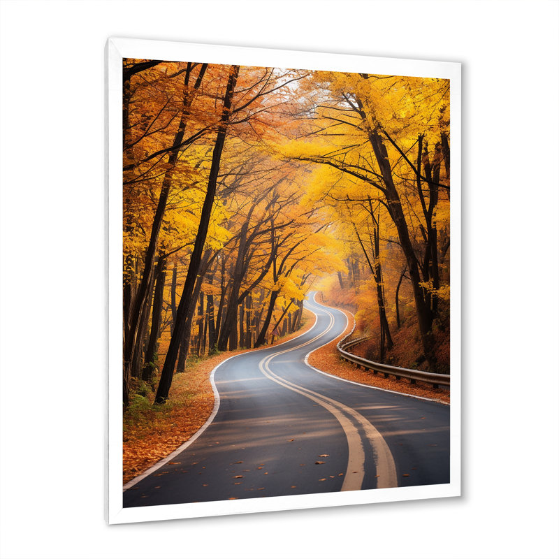 Route d'automne dorée dans la forêt I, Cadre simple blanc, H 32 po x l 24 po x P 1 po