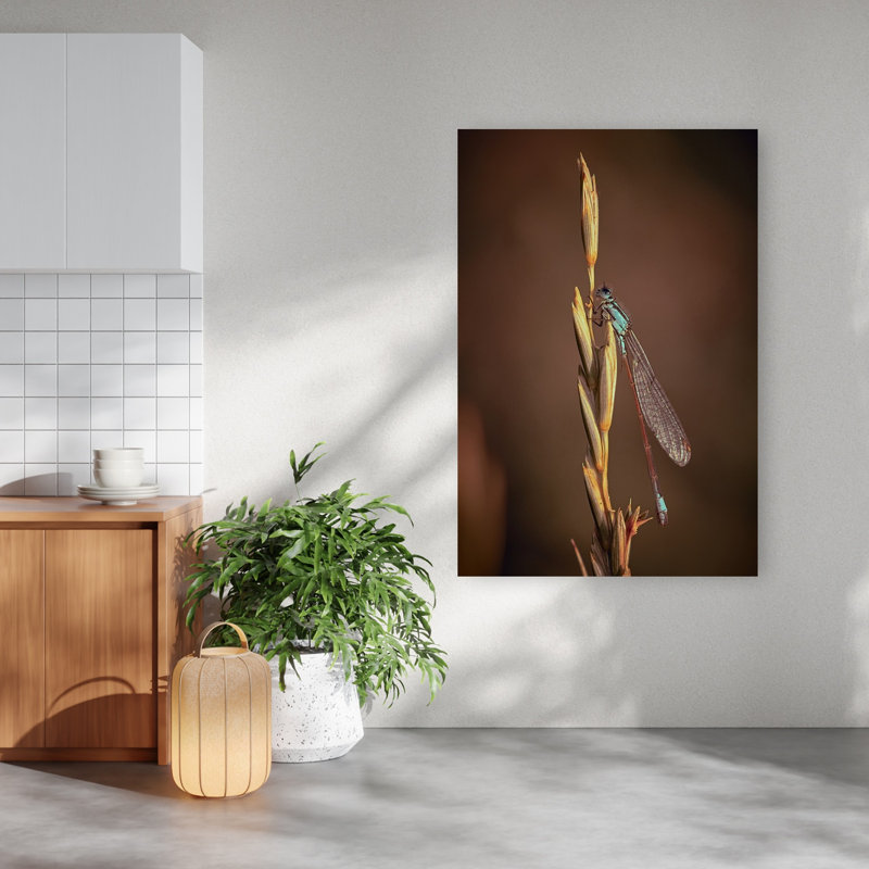 Élégante demoiselle bleue, animal délicat, élégant et paisible, impression d'art mural nature, 60" H x 40" W