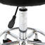 Tabouret de laboratoire à hauteur ajustable Salon-348620090