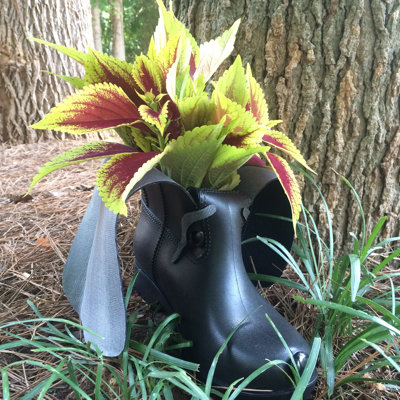 Pot à fleurs pour chien