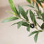 Olive artificielle Ashwell avec pot blanc -155919475
