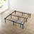 Bed-21093733