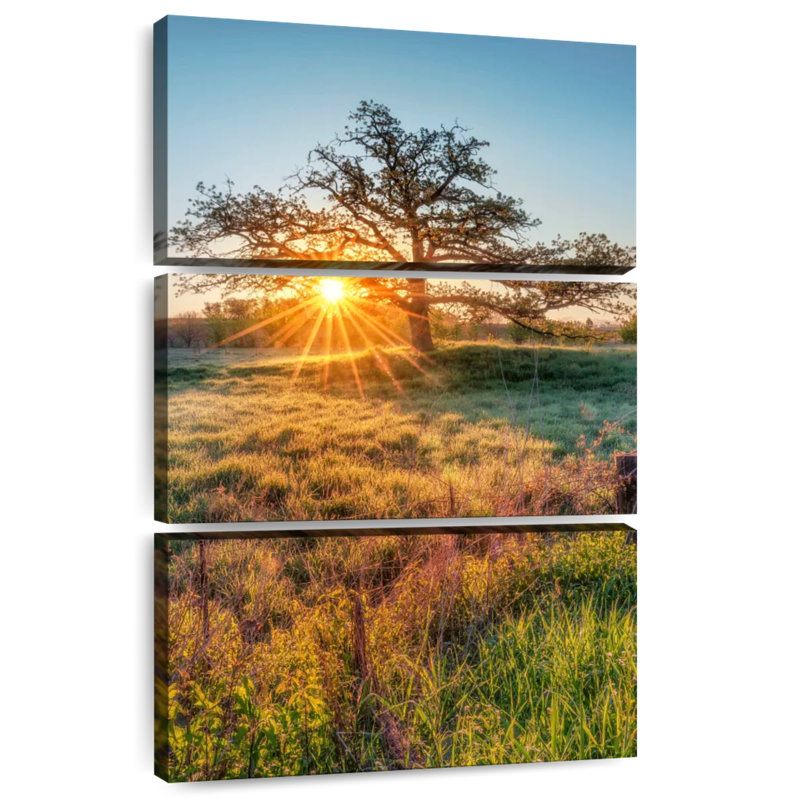 Harnek Oak Tree Sunrise, H 32 po x l 20 po
