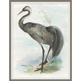Waterbird 4 Print