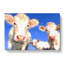 Three Dairy Cows In Abstract - Wrapped Canvas Painting-55303138