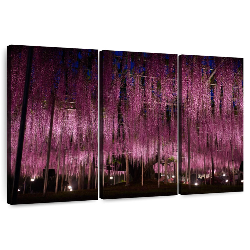 Jardin Harnek Wisteria, H 48 po x l 74 po
