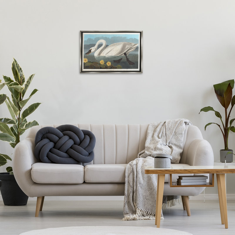 Toile flottante encadrée «Classic Common American Swan» par one1000paintings, Cadre flottant gris lustré, H 17 po x l 25 po