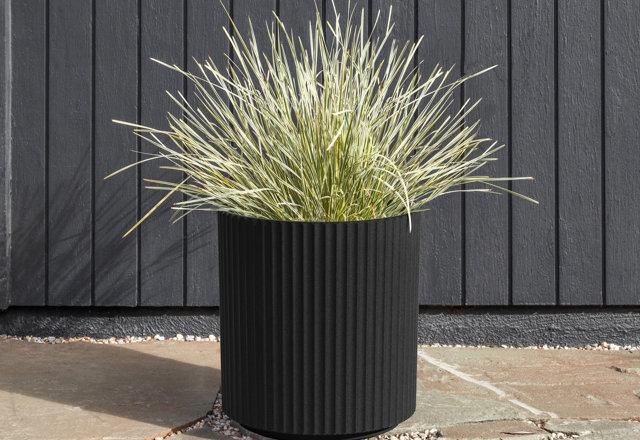 Must-Have Black Planters